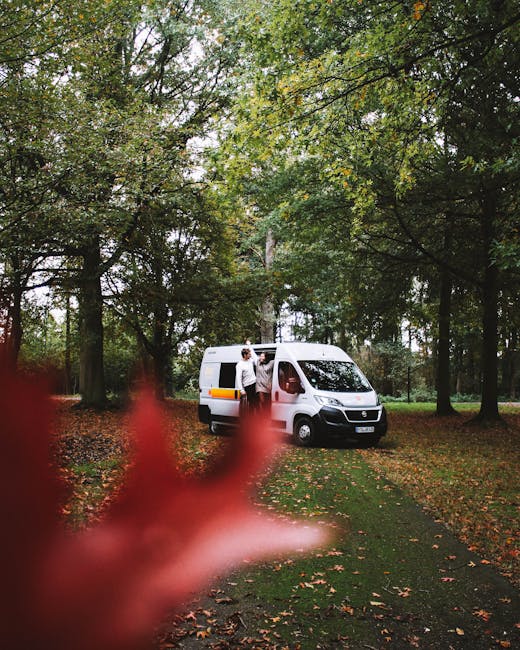 An outdoor scene showing the rear of a white moving van parked on a grassy area surrounded by tall trees with green leaves, indicating a wooded environment. A person is seen near the open side door of the van, engaged in loading or unloading boxes or furniture, which are partially visible inside the vehicle. The van is positioned on a paved pathway or driveway, with fallen leaves scattered across the grass, suggesting an autumn setting. In the foreground, an out-of-focus red leaf or plant partially obscures the view, adding depth to the scene. The natural lighting highlights the foliage and the moving process, consistent with home relocation activities. This image visually supports services related to house removals and furniture transport, exemplifying the logistical planning involved in a house move, and represents the type of work often undertaken by Man with Van Grove Park during house moving or packing and moving operations.