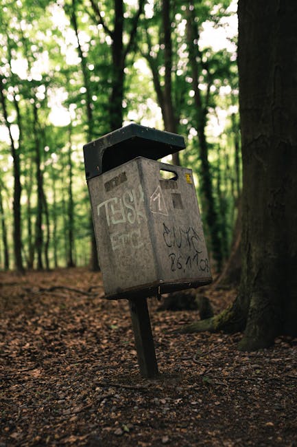 A weathered grey metal utility box mounted on a black metal pole leaning at an angle in a forest setting, with graffiti tags on its surface. The box is situated on a patch of compacted earth surrounded by tall trees with green foliage, allowing natural light to filter through. This scene, captured outdoors, relates to the context of house removals and clearing outdoor waste or bulky items, as handled by Man with Van Grove Park, highlighting the importance of managing waste and debris during home relocation or furniture transport processes.
