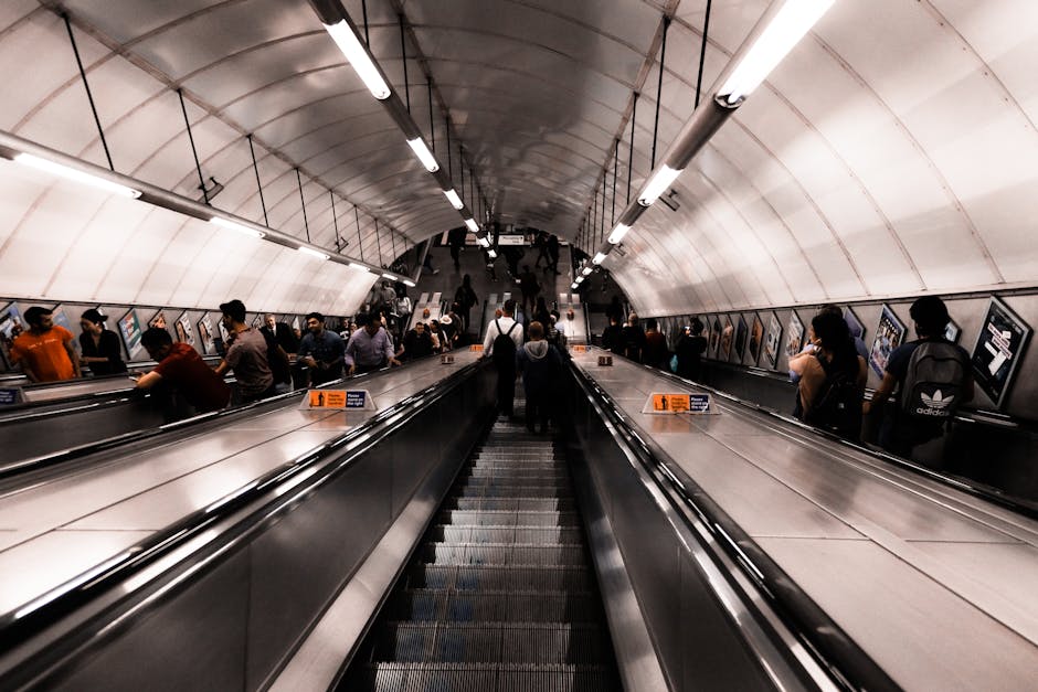 A wide view of Grove Park underground station's moving walkway, with a metal conveyor belt running through a curved, tunnel-like corridor featuring white, illuminated curved ceiling panels. Several commuters are visible on both sides of the moving walkway, some standing and others walking, with a few carrying small bags or backpacks. The station's walls are adorned with framed posters, and the area is well-lit with long overhead fluorescent lights. The scene captures the typical setting experienced during home relocation or furniture transport within public transport stations, as part of a packing and moving process supported by companies like Man with Van Grove Park, which facilitates efficient transit of household goods to a new residence.
