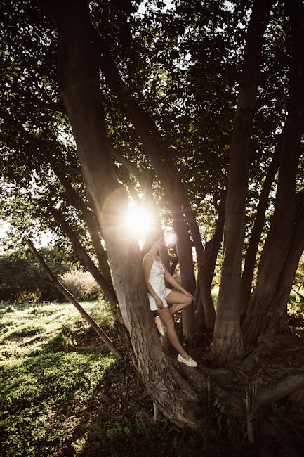 A person dressed in white, wearing a sleeveless top and shorts, standing among thick tree trunks with multiple strong branches in an outdoor setting. The person is holding onto a branch and appears to be climbing or posing near the base of the tree. The sunlight filters through the dense green leaves overhead, creating a bright glow and casting shadows on the ground and the person's figure. The scene is surrounded by grass and natural foliage, suggesting a peaceful park or wooded area. The image captures the natural environment and the person's interaction with the trees, which could relate to the outdoors or leisure activities, and metaphorically aligns with moving or transporting items through natural settings, akin to house removals or packing in a relocation service context.