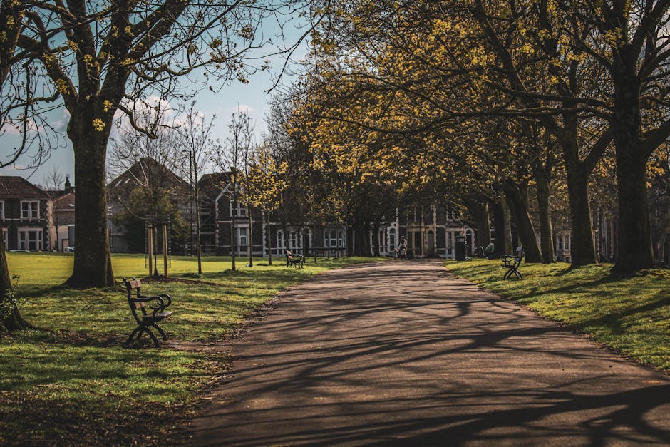 A paved pathway running through a park lined with large, mature trees casting shadows on the ground. Several park benches are positioned along the path, with some placed on grassy patches beside the walkway. In the background, there are residential buildings visible behind the trees, indicating an urban suburban environment. The scene is bathed in natural daylight, suggesting a clear day with partly cloudy skies. This peaceful setting highlights the outdoor space surrounding a home, suitable for walking or relaxing, and complements themes related to moving or house relocations, as seen with [COMPANY_NAME]'s services for house removals and furniture transport in Grove Park.